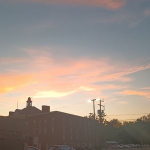 Meet your Posher, Riley